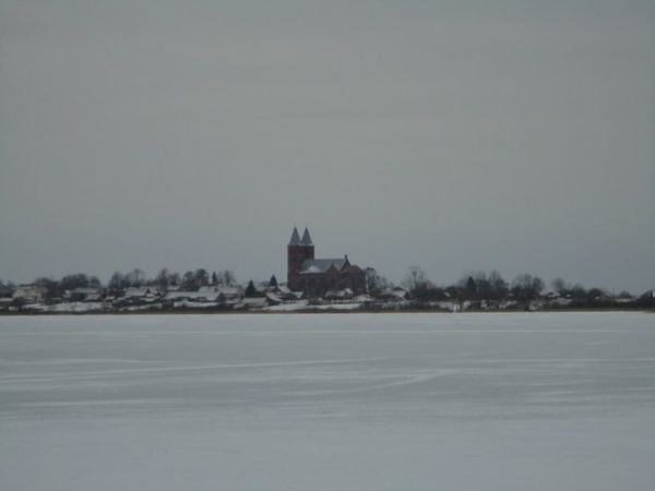 Вид с х. Вашкеливщина на Иказненский костел, 2010 г.