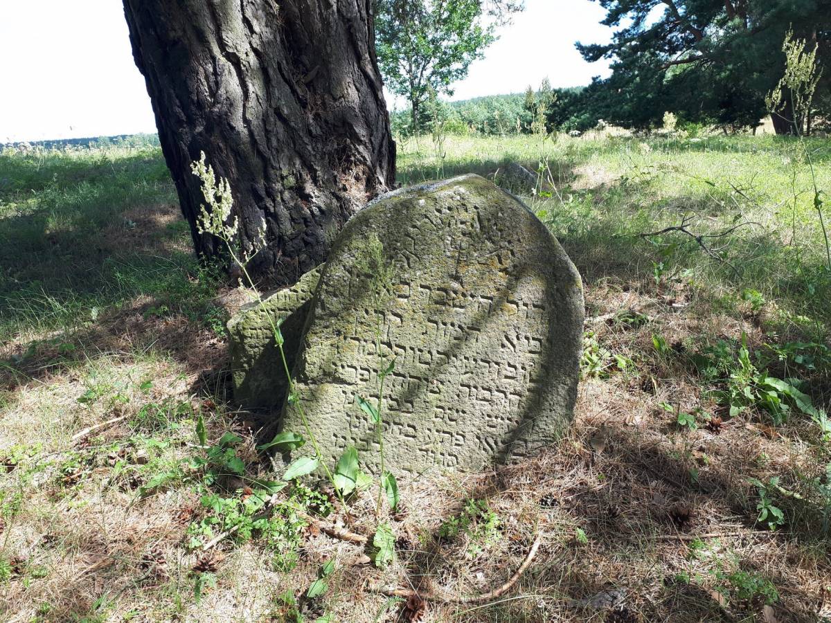Żydowski cmentarz w Dziewieniszkach