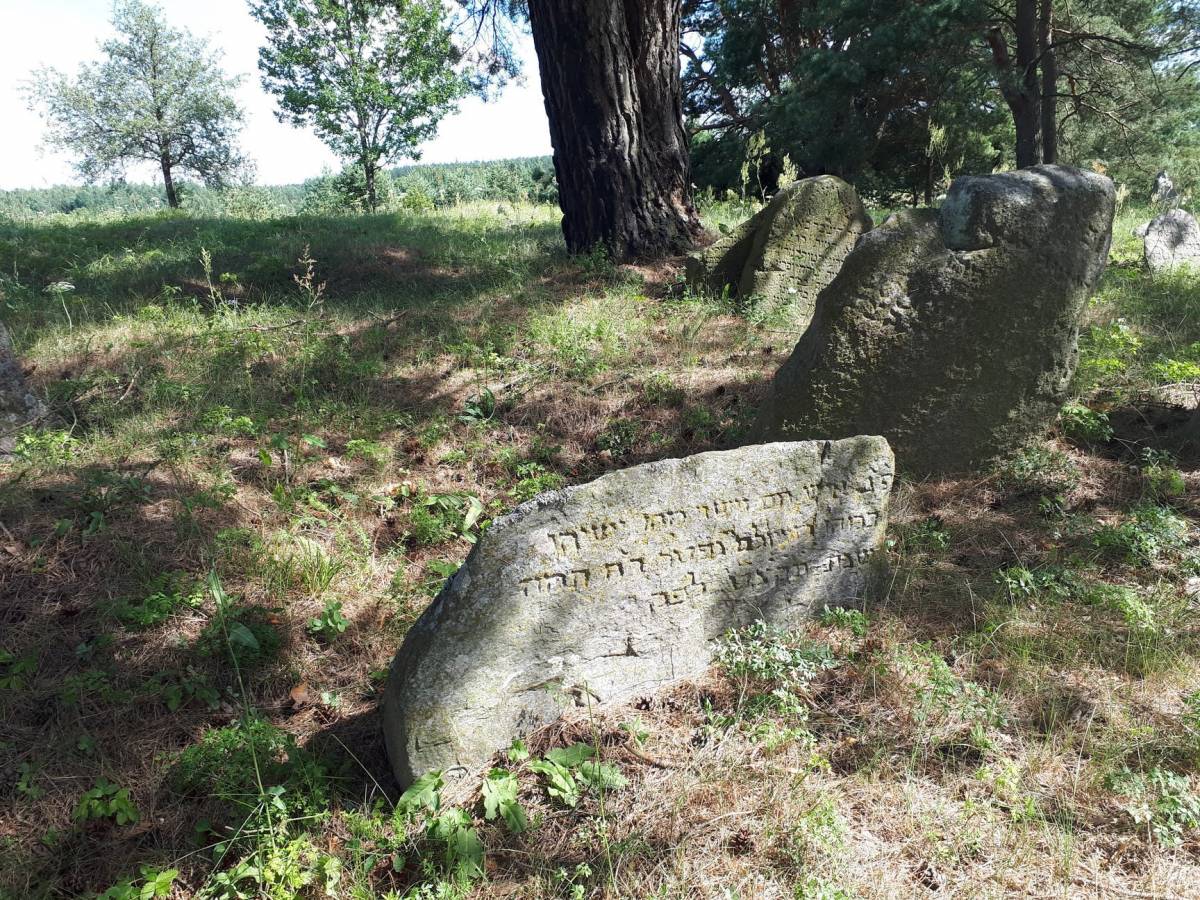 Żydowski cmentarz w Dziewieniszkach