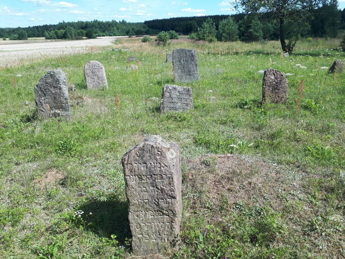 Żydowski cmentarz w Dziewieniszkach