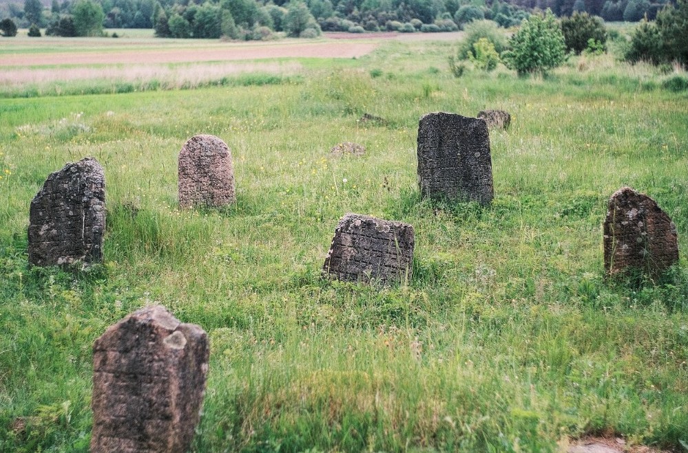 Cmentarz Żydowski w Dziewieniszkach.