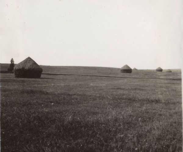 Jachimowszczyzna - kopy siana, 1934 r.