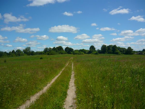 дорога