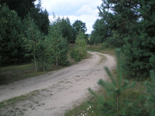Дорога к Остру