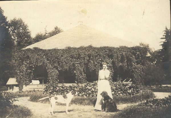 Czysta Łuża