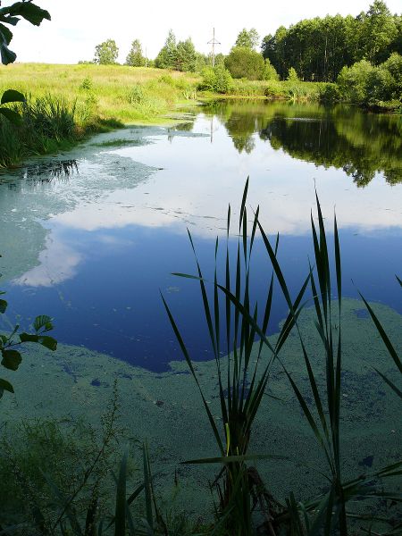 Гуслішчанскае возера