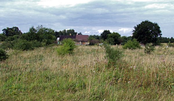 Dom Czirko (2007 r.)