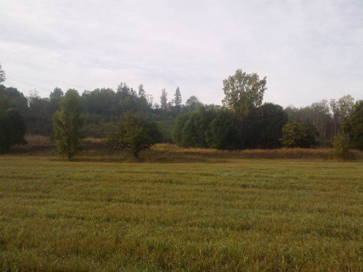 вид на место где раньше была деревня Невбилы
