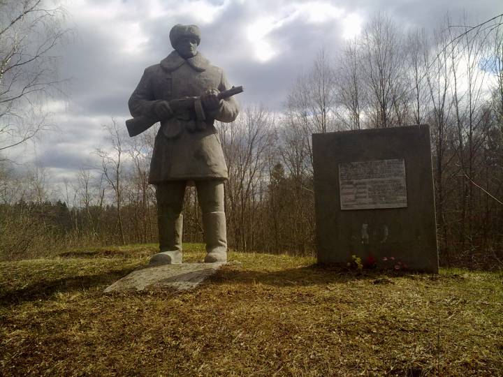 Памятник партизану около дороги идущей через деревню Щелбово.
