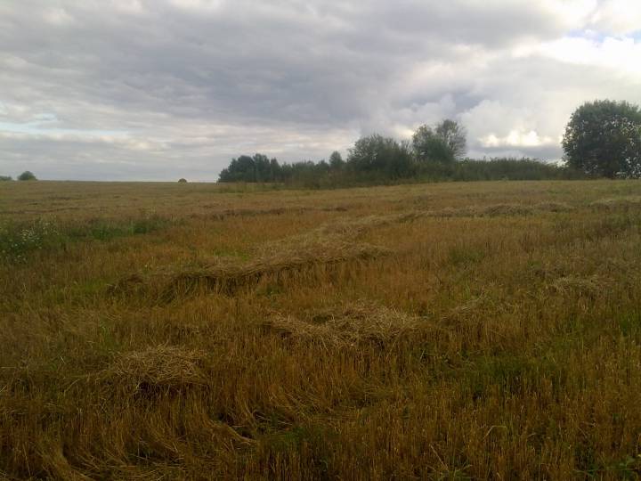 фото сделано со стороны железной дороги , на этом месте была улица деревни Цавина