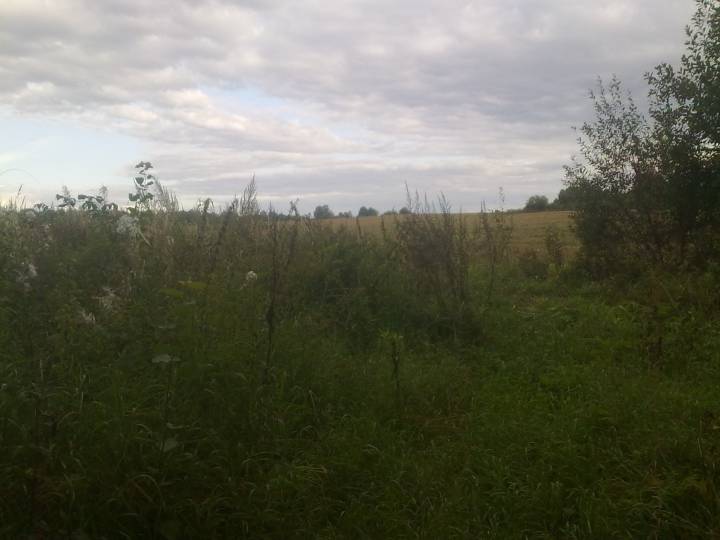 место дороги из деревни Шакурово в деревню Цавино, 509 км железной дороги около станции Бычиха