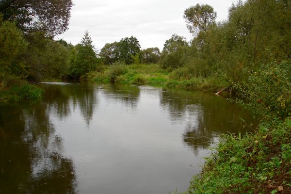 Мяльницкая р.Друть