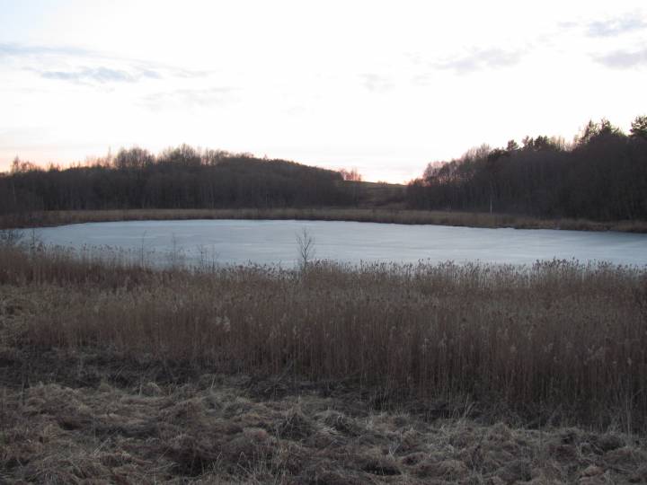 Jeziorko nad którym położona była Linkowszczyzna. Z prawej strony z drugiej strony brzegu znajdował się majątek Listowatka / nie jestem autorem tego zdjęcia