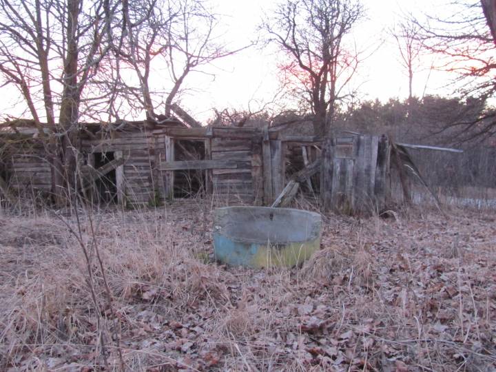 Pozostałosc zabudowy wsi Linkowszczyzna - jedna ruina domu, porozrzucane kamienie fundamentowe oraz drzewa owocowe. Wieś spalona przez niemców w 1942 r./ nie jestem autorem tego zdjecia