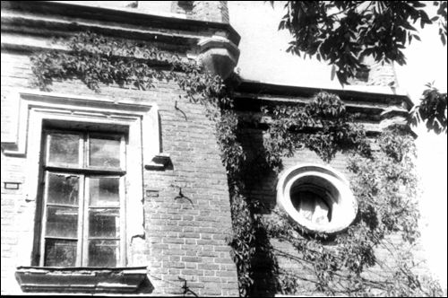 Fragment fasady pałacu Mohlów w Zalesiu (fot. botanika-dendrologa W. A. Łamaka) 