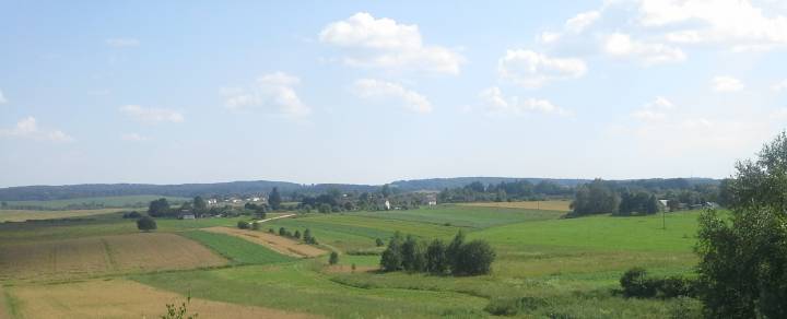 Вид на д.Пугачи с Михасёвой горы.