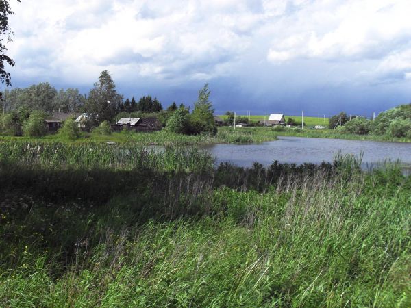 В деревне. Вид на озерцо