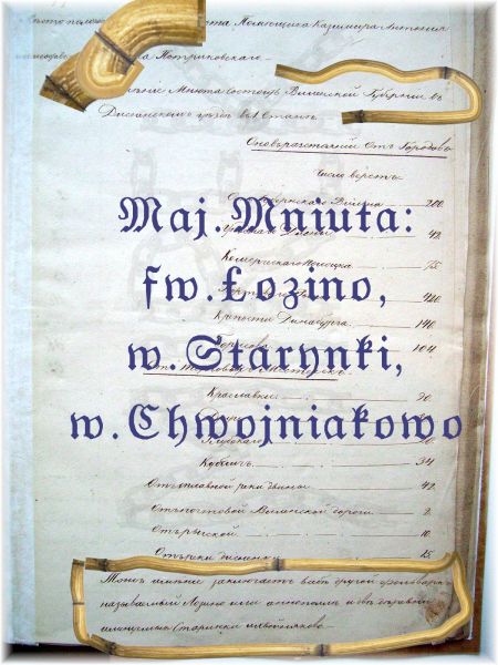 Strona z inwentarza maj.Mniuty 2<br>z 1848 r. Kazimierza Potrykowskiego-<br>w dolnym akapicie podano<br>należące do majątku folwark Łozino,wieś<br>Star(z)ynki i wieś Ch(w)ojniakowo.<br>Majątek ten po śmierci K.Potrykowskiego odziedziczyli Kamieńscy;Star(z)ynki należały do Marii (siedzi na zdjęciu po prawej stronie wdowy Leokadii Potrykowskiej-zdj.z 1911 r.- patrz kolekcja J.Nowickiego-zdjęcie drugie od góry ).<br>
