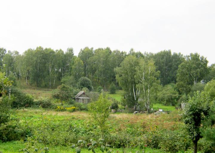 За дамамі невысокая гара, дзе растуць бярозы. Вось тут і былі могілкі старажытнага Логожска...