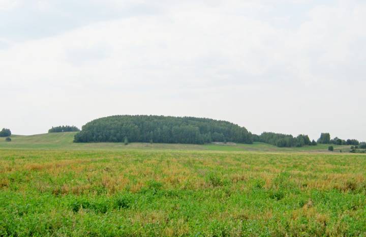 Плоская Гара альбо Плошчанка, дзе да 1434 года быў старажытны Логожск. Погляд ад вёскі Дабрэнева...
