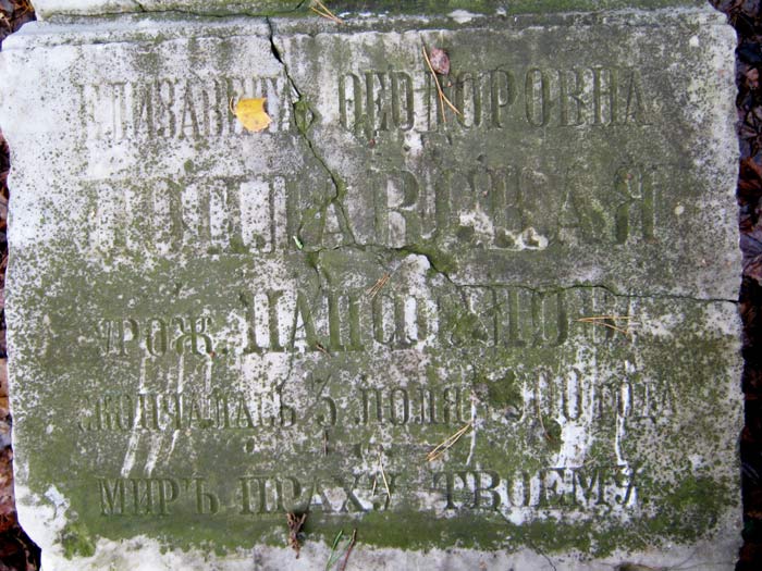  Ը <br>(. )<br>+1900