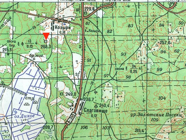 Здымак з карты 1984 года. Стрэлка паказвае, дзе было старажытнае пасяленне...