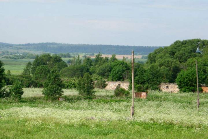 Стары панскі кароўнік каля вёскі Кузевічы