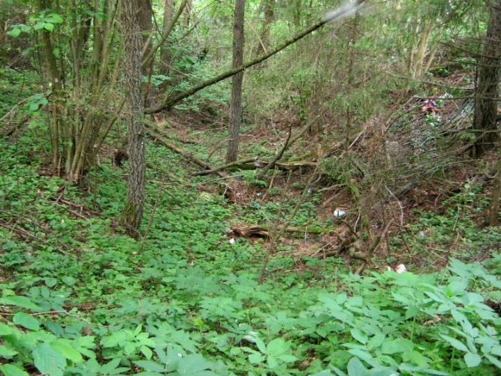 Кузевічы, гарадзішча, верхні вал з ровам