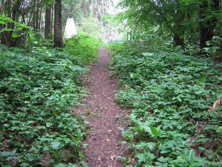 Кузевічы. Гарадзішча, тут была ніжняя брама