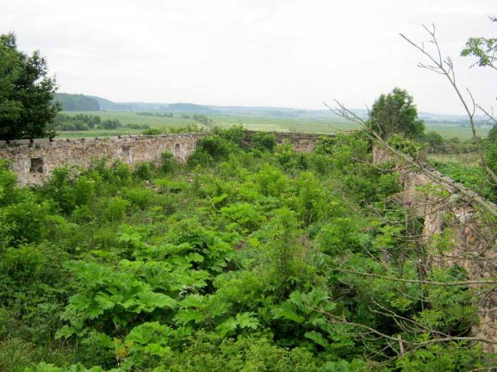 Руіны панскага кароўніка ў Кузевічах