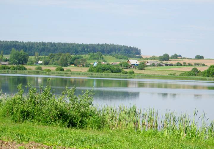 За возерам Другая Лагаза. Вадасховішча зроблена ў пачатку 70-х гадоў. А да гэтага тут было балота, дзе людзі збіралі журавіны...