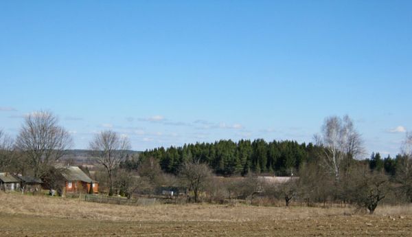 Родзевічы, а ў далёкім мінулым -- Родзевічы Баранісына...