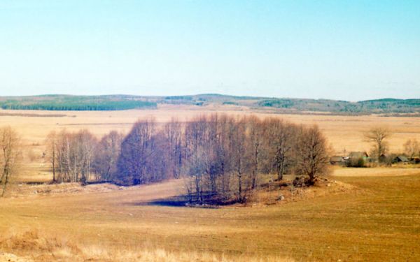 Рэшткі прысад на месцы былой сядзібы Тышкевічаў у Радзевічах
