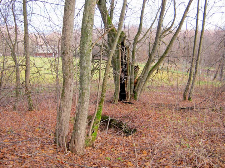 Месца былога фальварку Саўдзеневічы