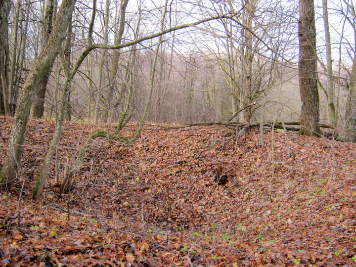 Месца былога фальварку Саўдзеневічы