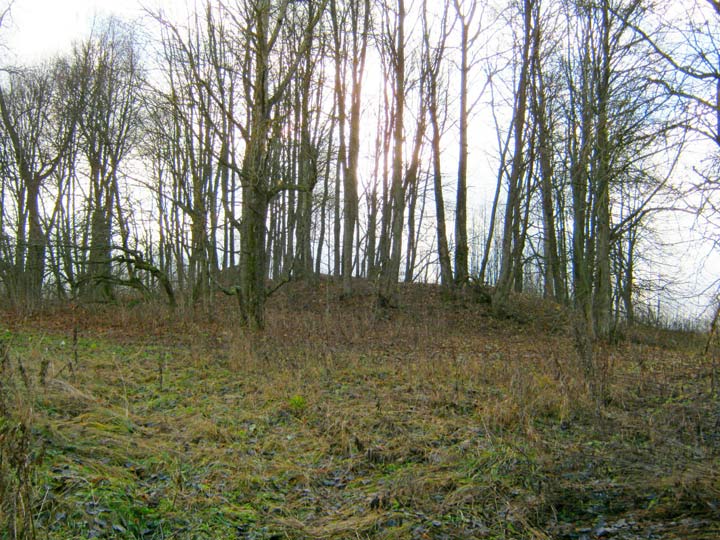 Месца былога фальварку Саўдзеневічы