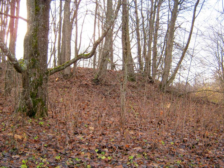 Месца былога фальварку Саўдзеневічы