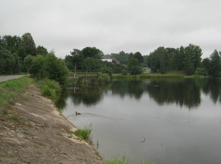 Каля 40 метраў ніжэй дамбы пачынаюцца ручайкі-рудаўкі, дзе дабывалі балотную руду...