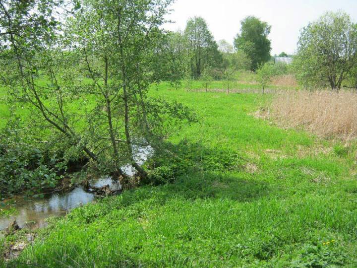 Звярынічы, тут было верхняе возера