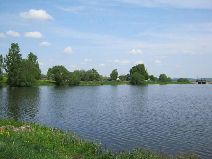 Возера ў вёсцы Звярынічы