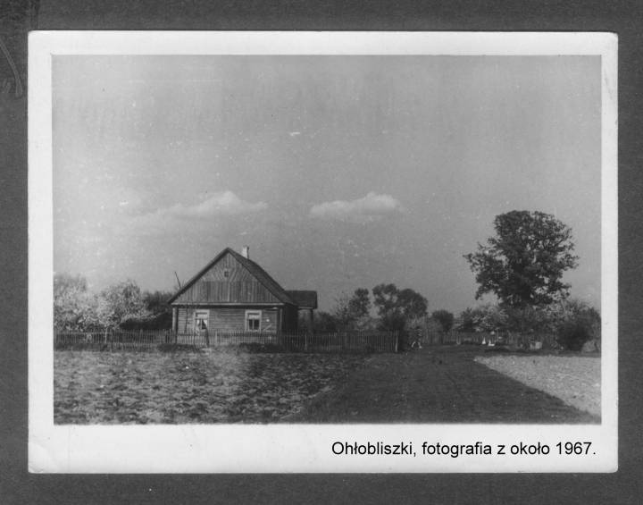 Widok na część Ohłobliszek z drogi.