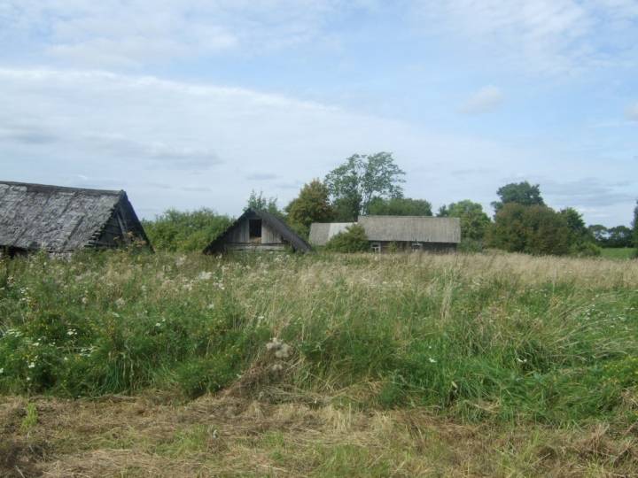 Вороньки 2009