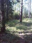 З альбому здымкаў з сучаснымі відамі