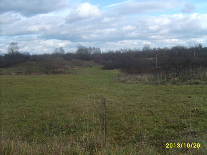 Вид на березовую рощу с каплицей с дороги в д.Жуково