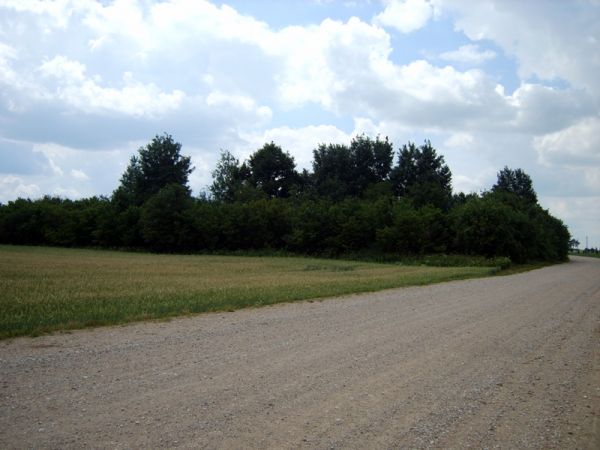 Татарскія  курганы