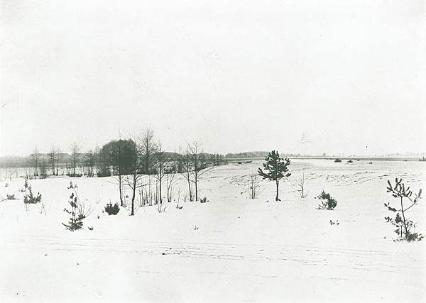 Поле. Месца Крупчыцкай бітвы 17.09.1794<br>здымак І. Аткінсона 1899 г.