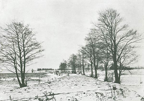 Плаціна на р. Трасцяніца<br>здымак І. Аткінсона 1899 г.