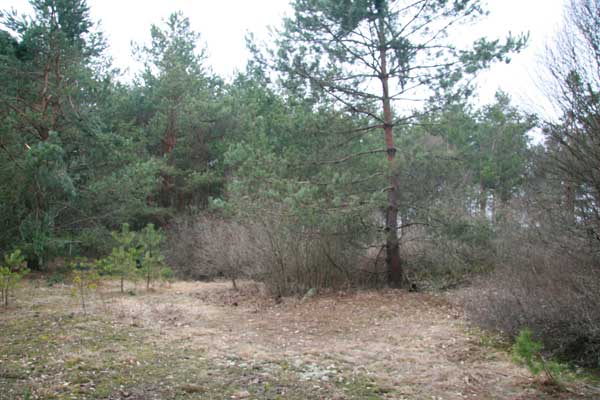Месца колішніх радавых могілак<br>Фота 03.04.2010