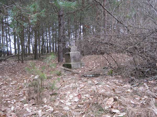 Рэшткі могілак<br>Фота 03.04.2010