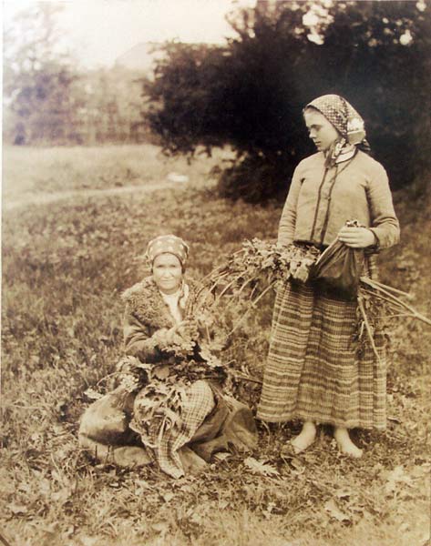 Zielarki ze wsi Gladowicze (Hladowicze).<br>Fot. Jan Sadowski, <br>l.80-te XIXw.